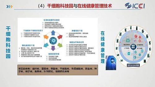 國(guó)合院發(fā)布八大規(guī)劃與產(chǎn)業(yè)化業(yè)務(wù)布局，賦能旅游開發(fā)項(xiàng)目策劃咨詢新篇章